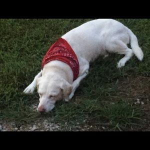 Meet your Posher, Robert